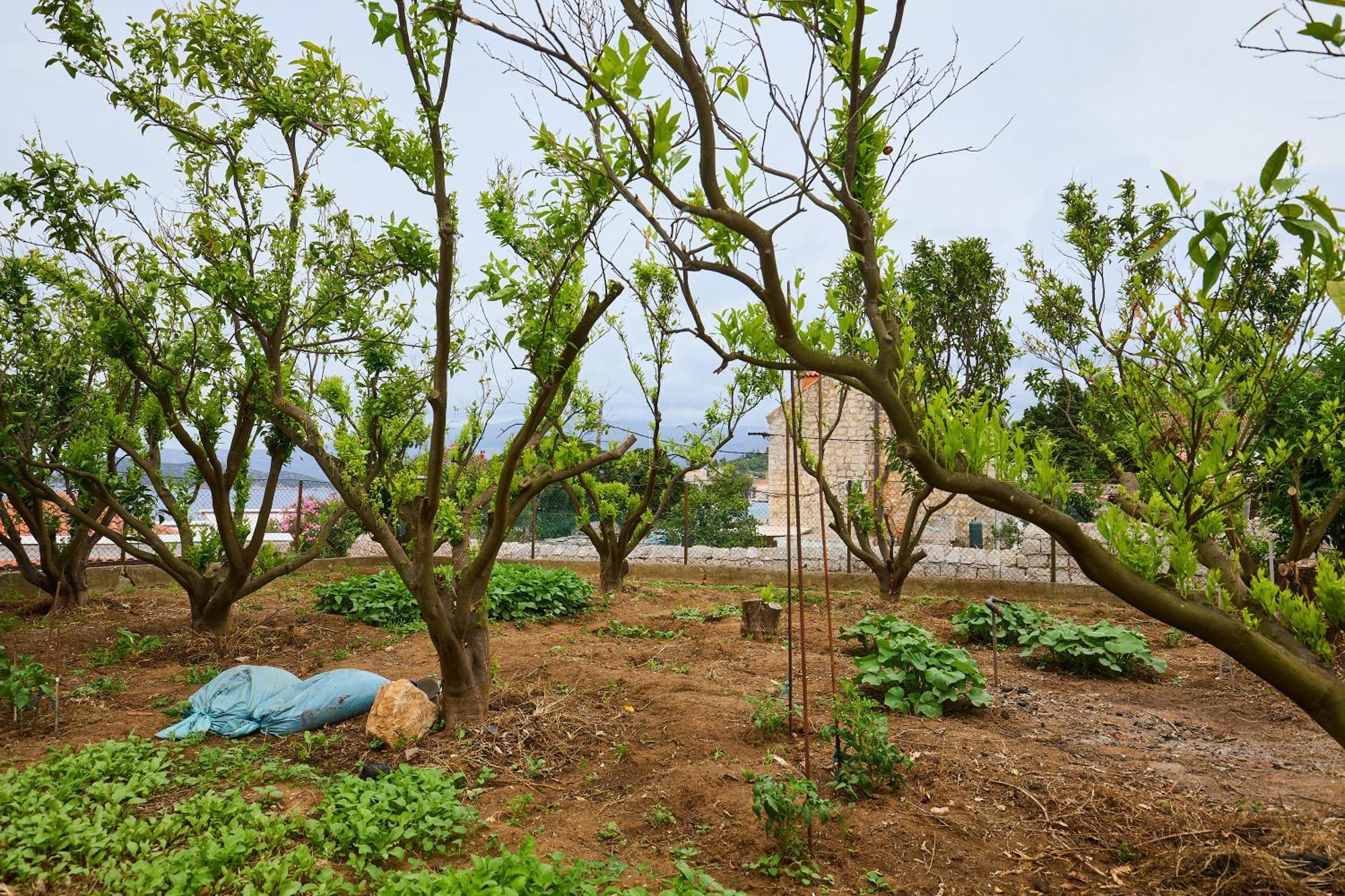 Beloc House Lopud Island Apartment Exterior photo